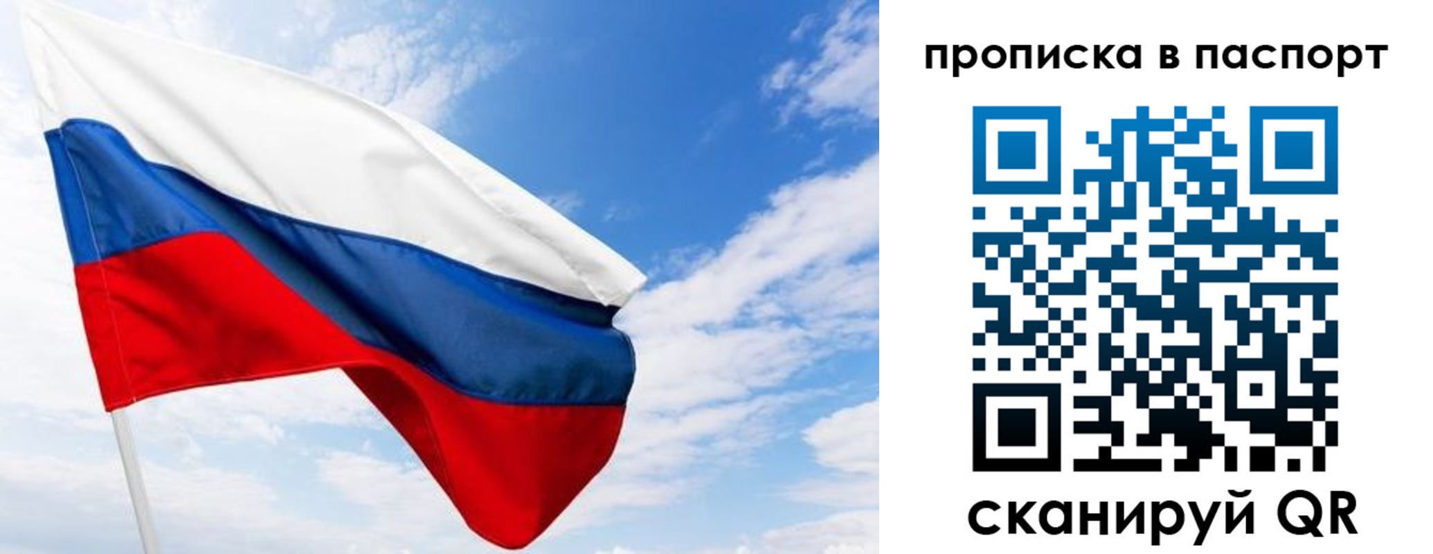 прописка поиск в Пионерском